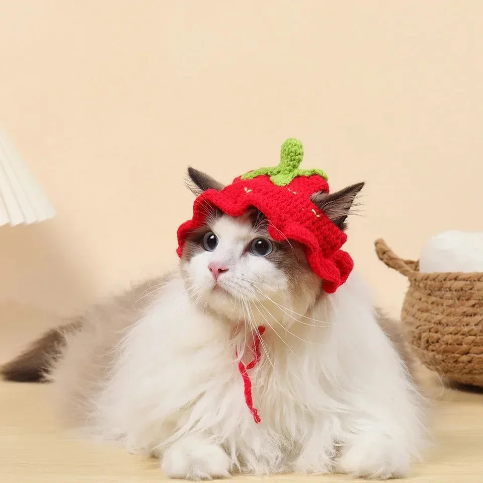 Herbst-Winter Katzenmütze Elastische Niedliche Raffinierte Haustiermütze für Welpen und Kätzchen Gestrickte Mütze für Partys und Fotoshootings Katzenzubehör – Detail 6