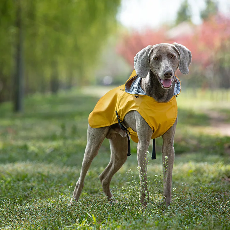 

Outdoor Waterproof Pet Dog Raincoat Poncho High Collar Reflective Labrador Golden Retriever Corgi Medium and Large Dog Clothing