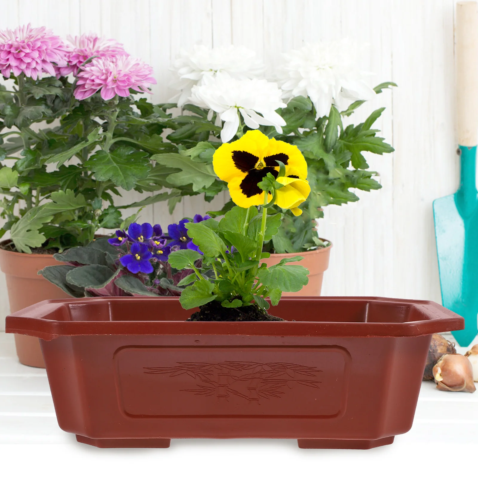 

12 Pcs Black Plant Pot Plastic Flower Pots Indoor Small Decorative Office Floral Containers