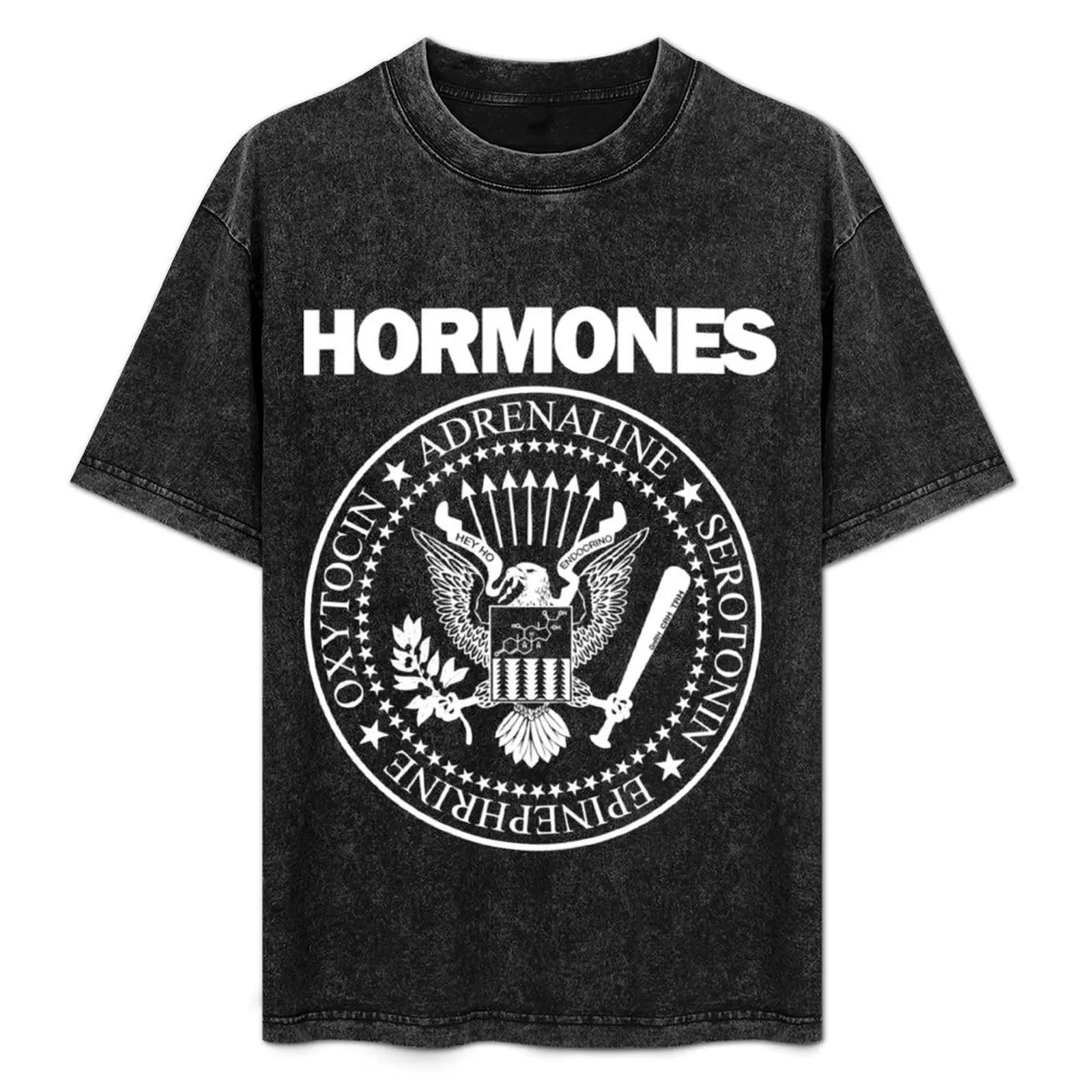 

H-O-R-M-O-N-E-S HORMONES T-Shirt Big Size Loose Fit Tee Shirt