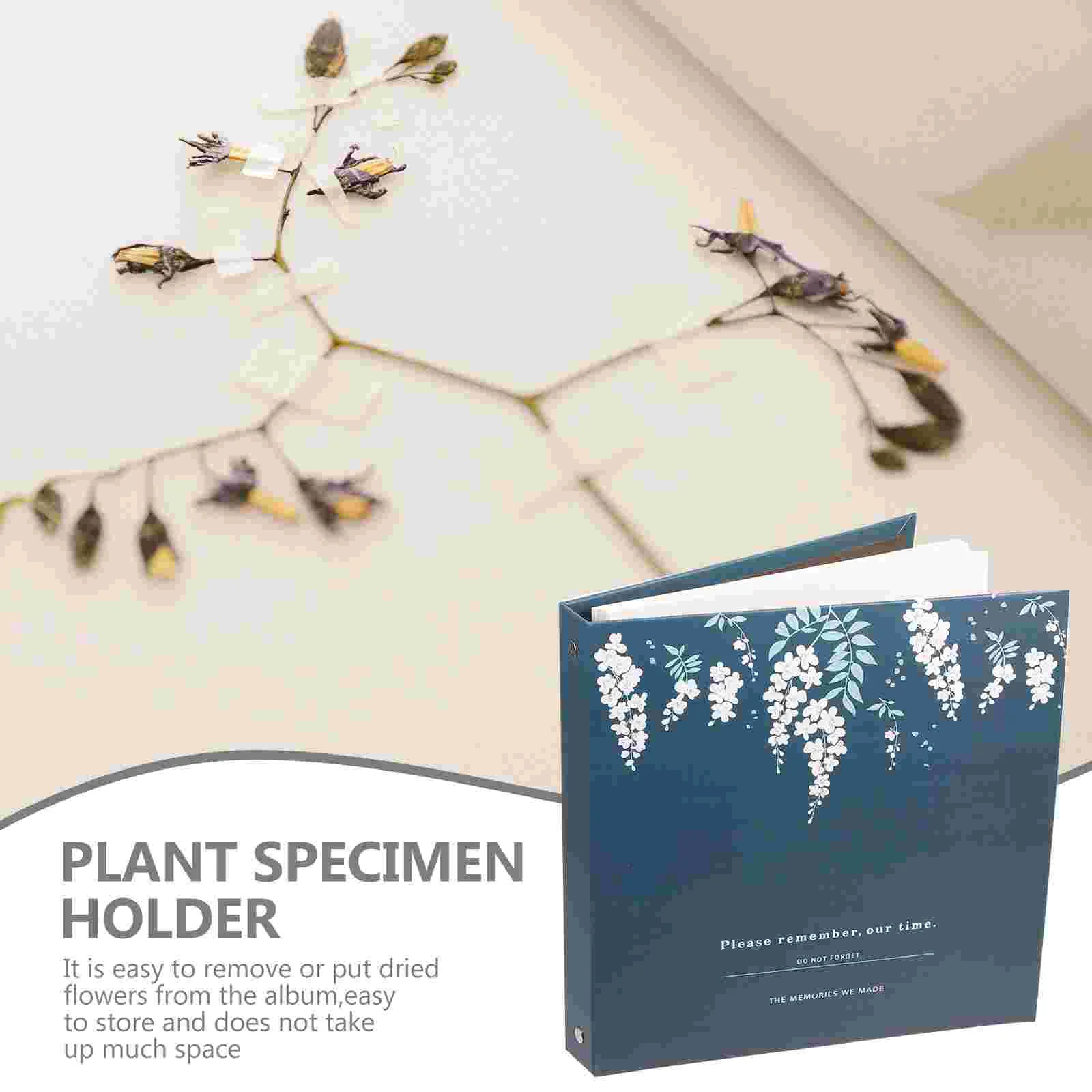 스크랩북 거치대 사진 앨범, 나뭇잎 말린 꽃 보관, 여행 가방 컬렉션