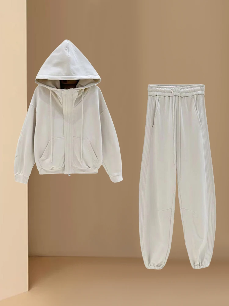 

Winter Sports Set Women's Fashionable Fluffy Hoodie Casual Pants Two-Piece Suit Long Sleeve Zipper Closure Half Open Cardigan