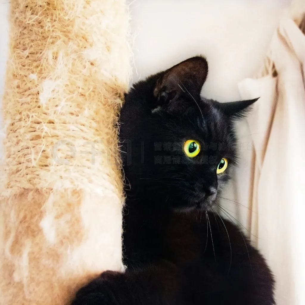 Pour 1/10 4-TEC DRIFT MUSTANG simulation de Suspension de voiture mises à niveau remplacement fournitures de Modification en métal