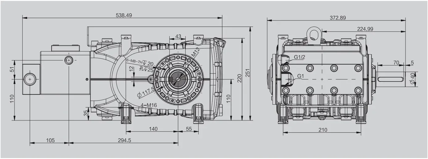 FF PINFL DF 30-73L/min 280-600Bar High Pressure SS316L Pump Piston Pump For Ship Cleaning Descaling