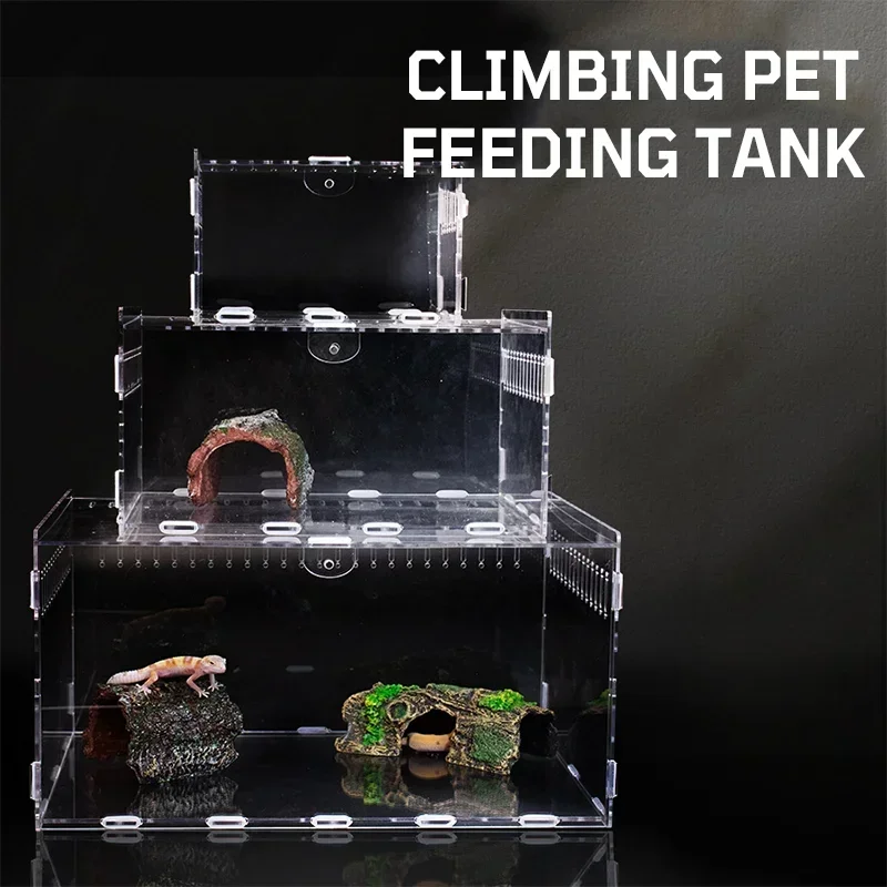 Caja de cría de reptiles acrílica, terrario transparente con termómetro para hábitat de alimentación de mascotas, arañas, lagartos, escorpión