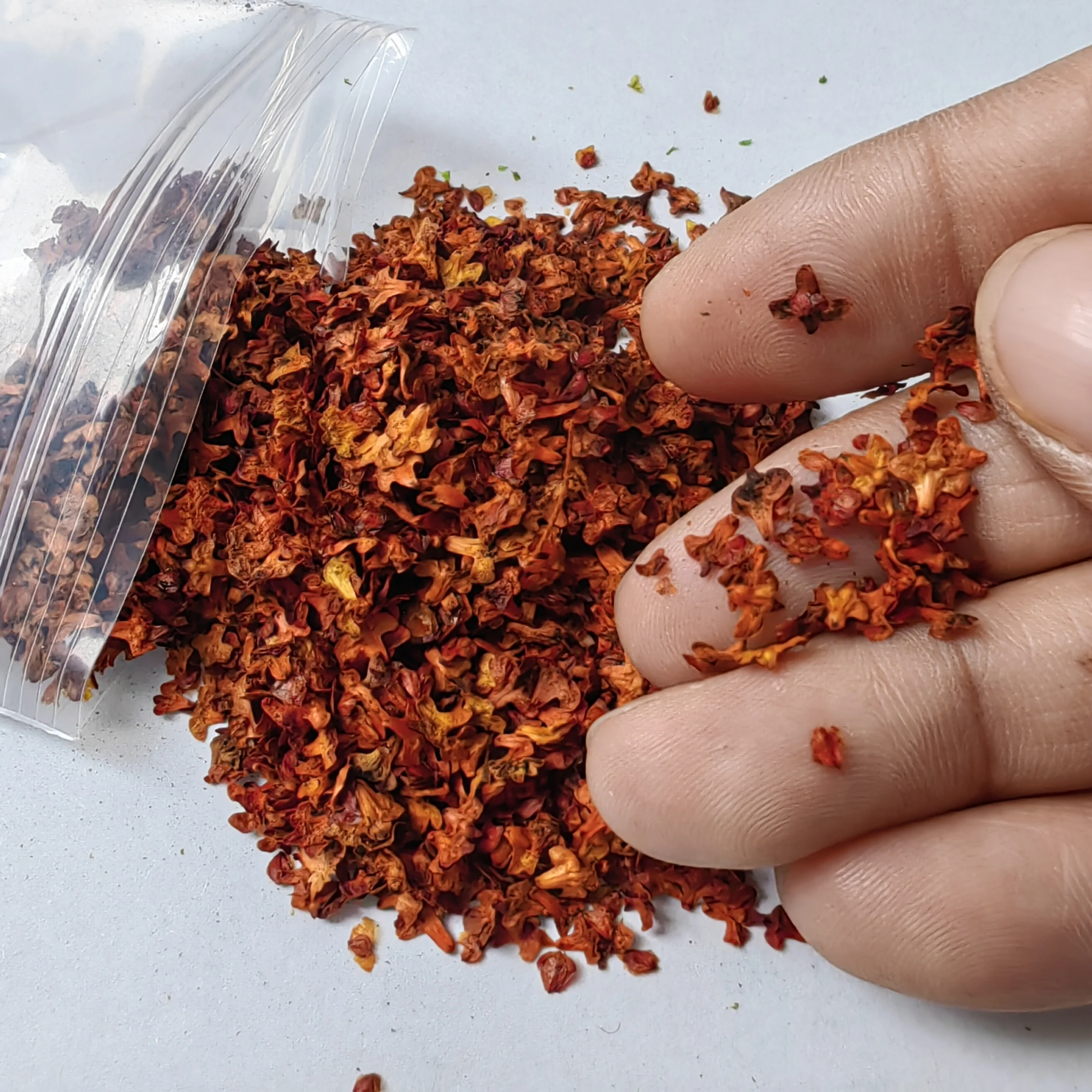 

Моделирование падающих листьев, миниатюрные листья для самостоятельного моделирования, основания, железная дорога, бонсай, сказочный сад, диорамы, принадлежности, набор GroundKit