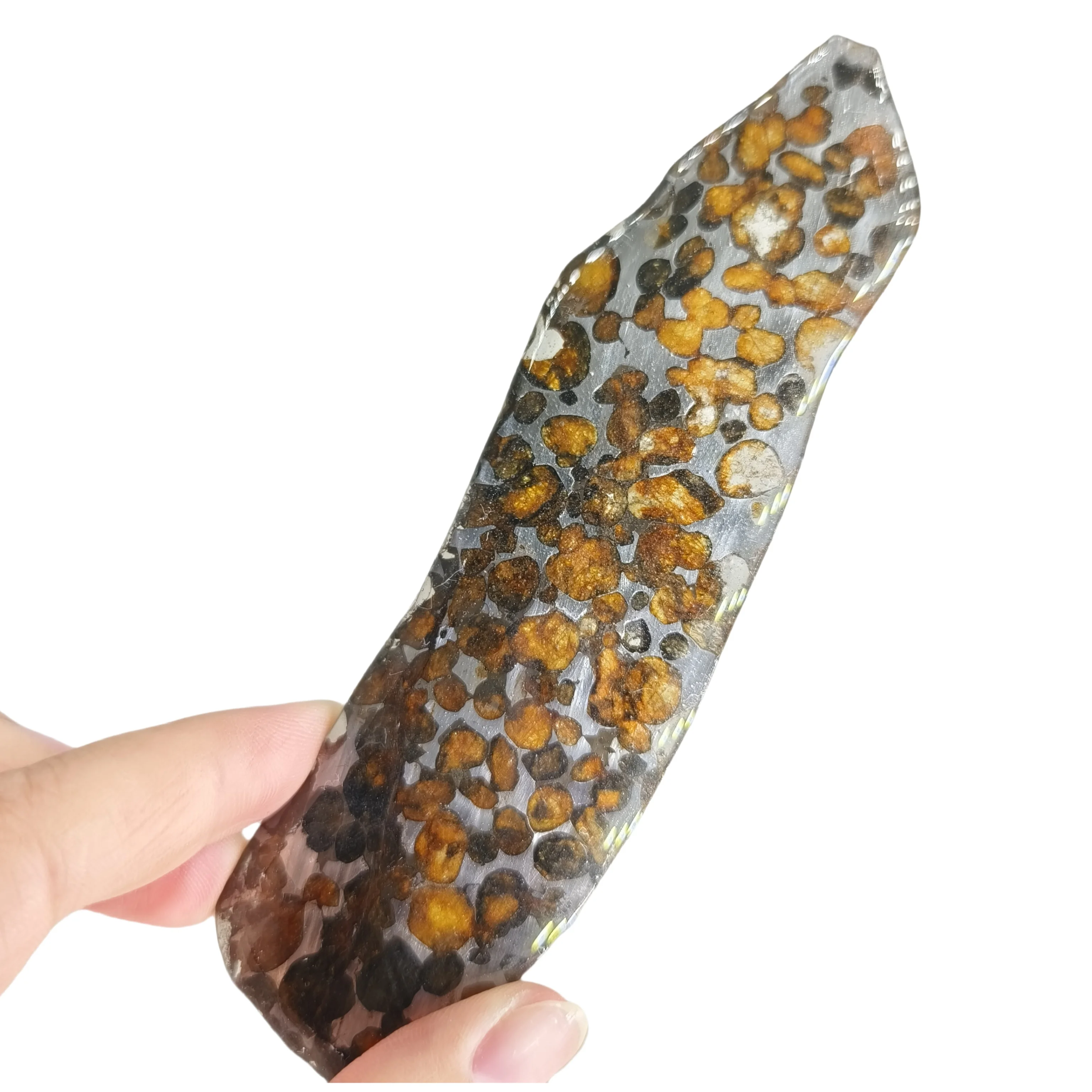 

34.3g Seymchan Pallasite Olive Meteorite Slices Specimen Natural Meteorite Material Sliced Collection - QA798