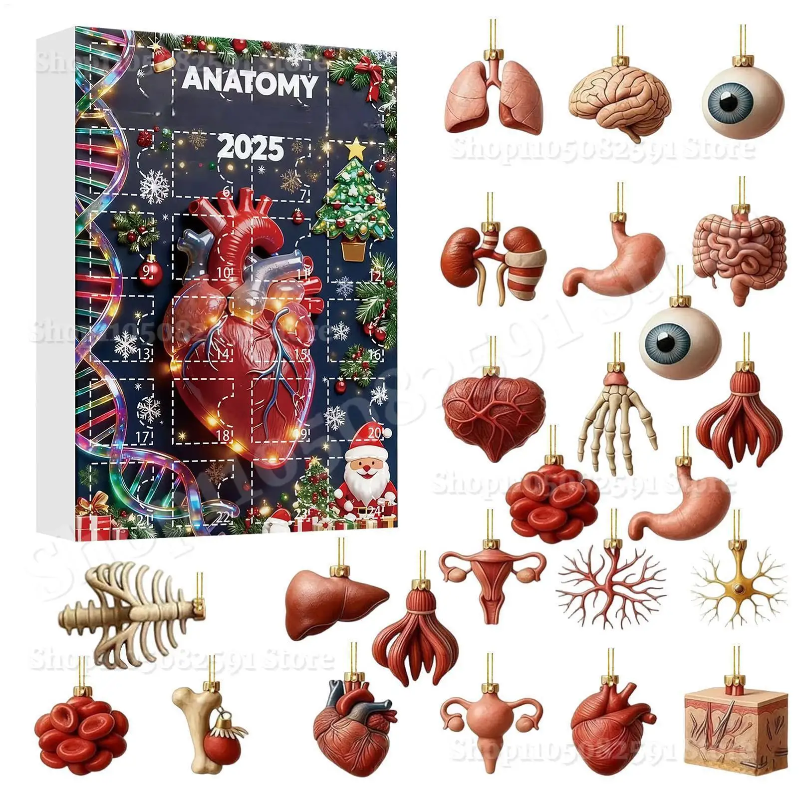 

2D Anatomy Figurines Christmas Countdown Calendar 24 Days Advent Human Organs Ornaments Pendants gift box For Medical Student