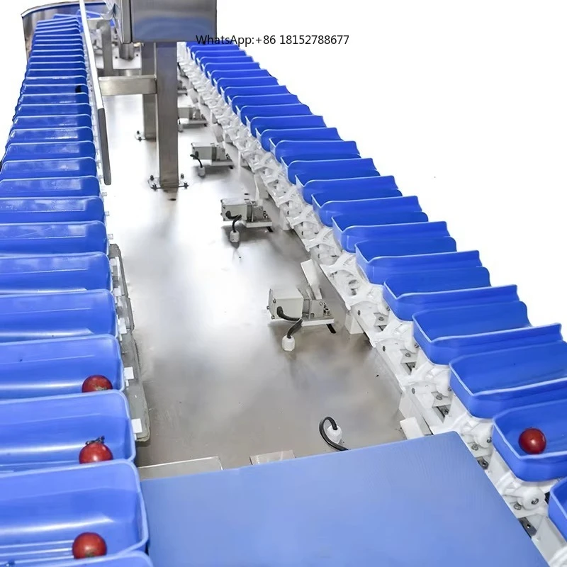 Cherry Vegetable Fruit Nuts Automatic Weighing Custom Selection Grading Machine Rotating Disk High Precision Sorting Equipment