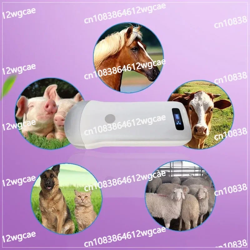 Promotion Andriod, IOS, Windows System Wireless Ultrasound Scanner Convex Array ProbeFor Pigs, Cattle, Sheep, Cats and Dogs, Etc