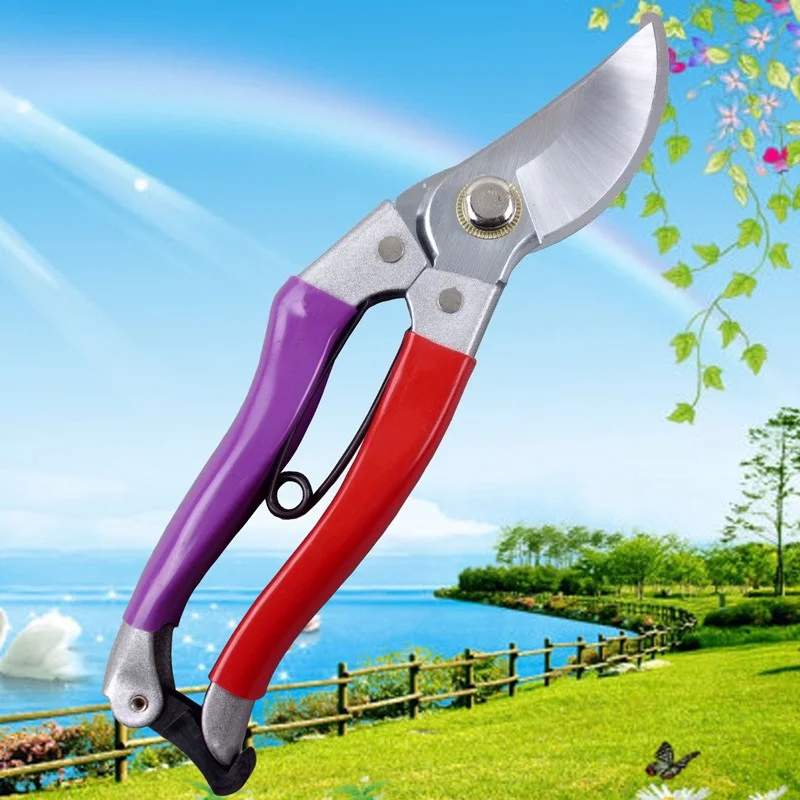 Garden Pruning Tools SK-5 Fruit Branch Shears Gardening Fruit Tree Pruning Shears Fast Delivery