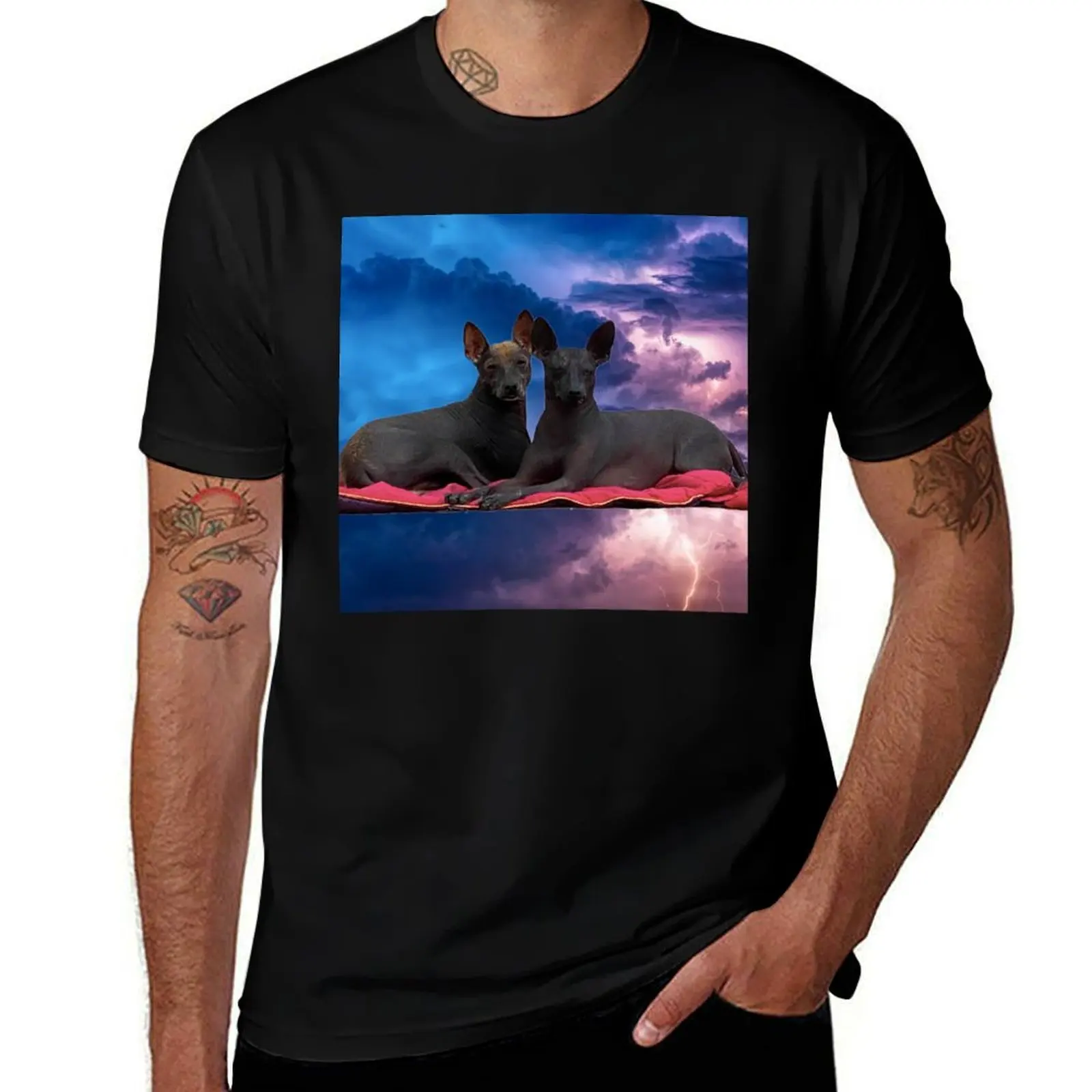 

Xolos in a storm T-Shirt Sun Protective Outdoor Tee Top