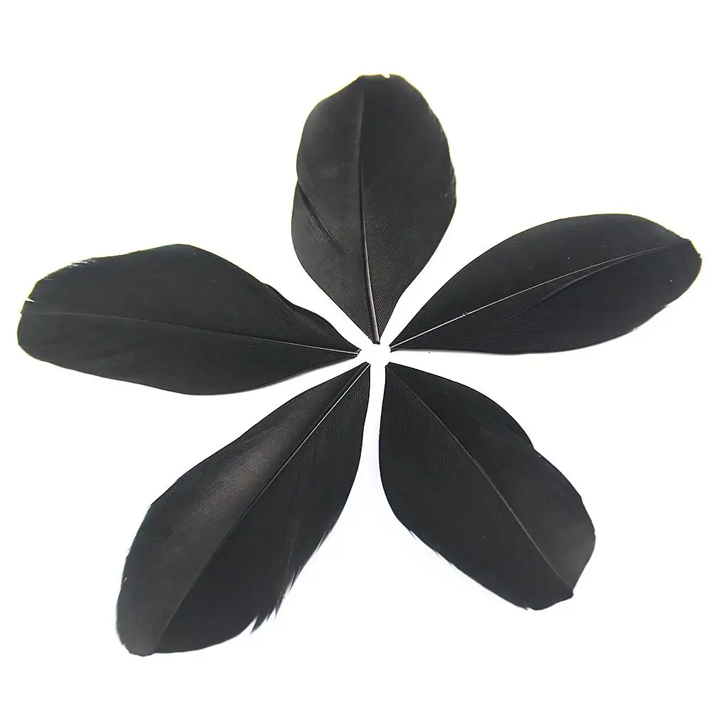 Black Feathers Natural 31 Styles for Crafts Costumes Fashion Jewelry Making, DIY Decoration, Ostrich Rooster Pheasant Duck Bulk