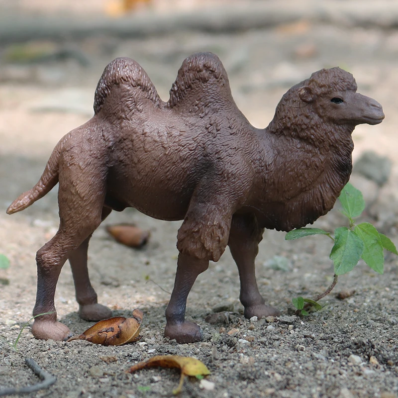 Oenux Wild Desert Camel Simulation Animal Kameel Camel Model Action Figures Solid PVC Figurines Educational Kids Toy Gift