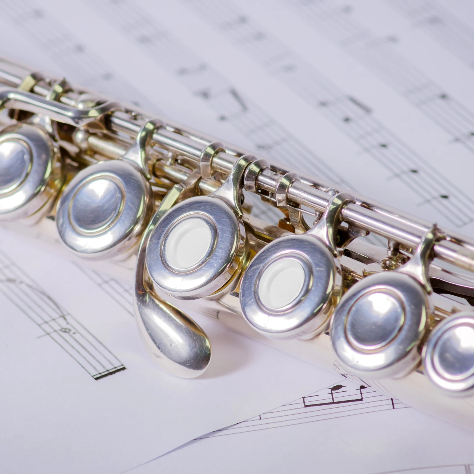 

25Pcs Flute Key Covers Universal Repair Parts for Beginners and Enthusiasts Flute Plugs Music Instrument Accessories