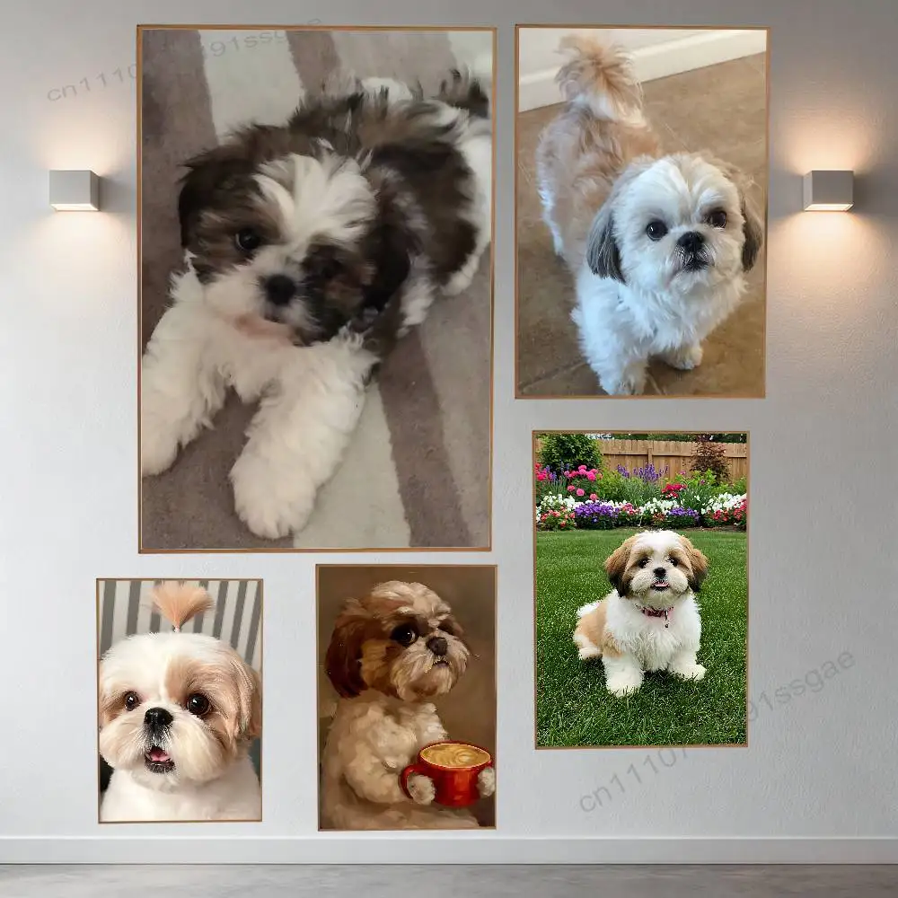 

Lovely Shih Tzu Cute Poster Retro Paper Sticker DIY Room Bar Cafe Aesthetic Art Wall Painting