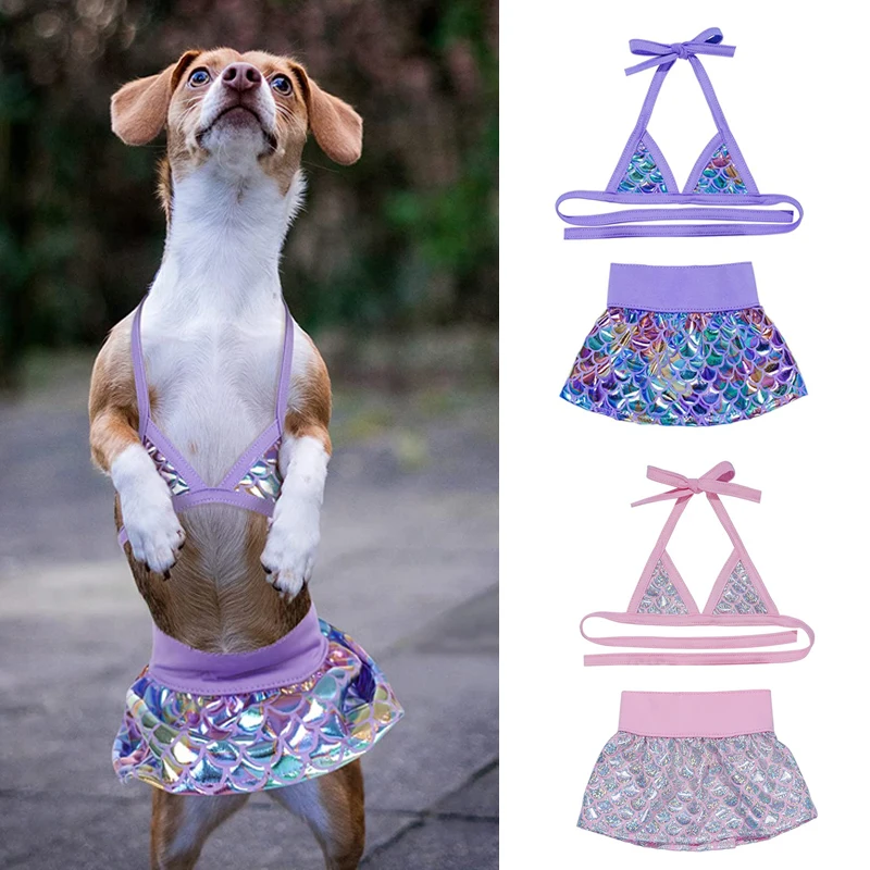 baño para dog bikini outfit