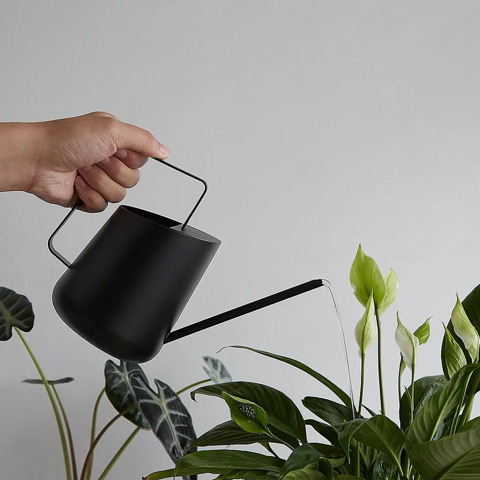 

Long Spout Watering Can Stainless Steel Kettle 800ml Ergonomic Handle Portable