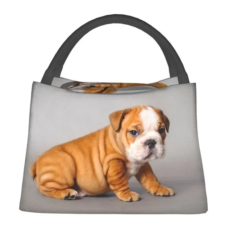 English Bulldog Puppy Insulated Lunch Bags for Work Office British Dog Leakproof Cooler Thermal Lunch Box Women