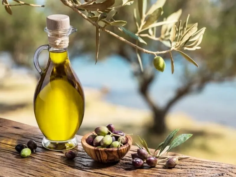 Mini Olive Oil Extraction Machine Cold Pressed Olive Oil Machine Manufacturer for Small Business Best Organic Olive Oil Machine