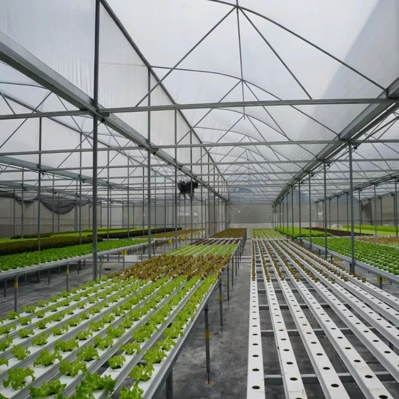 Sistema hidropónico NFT comercial