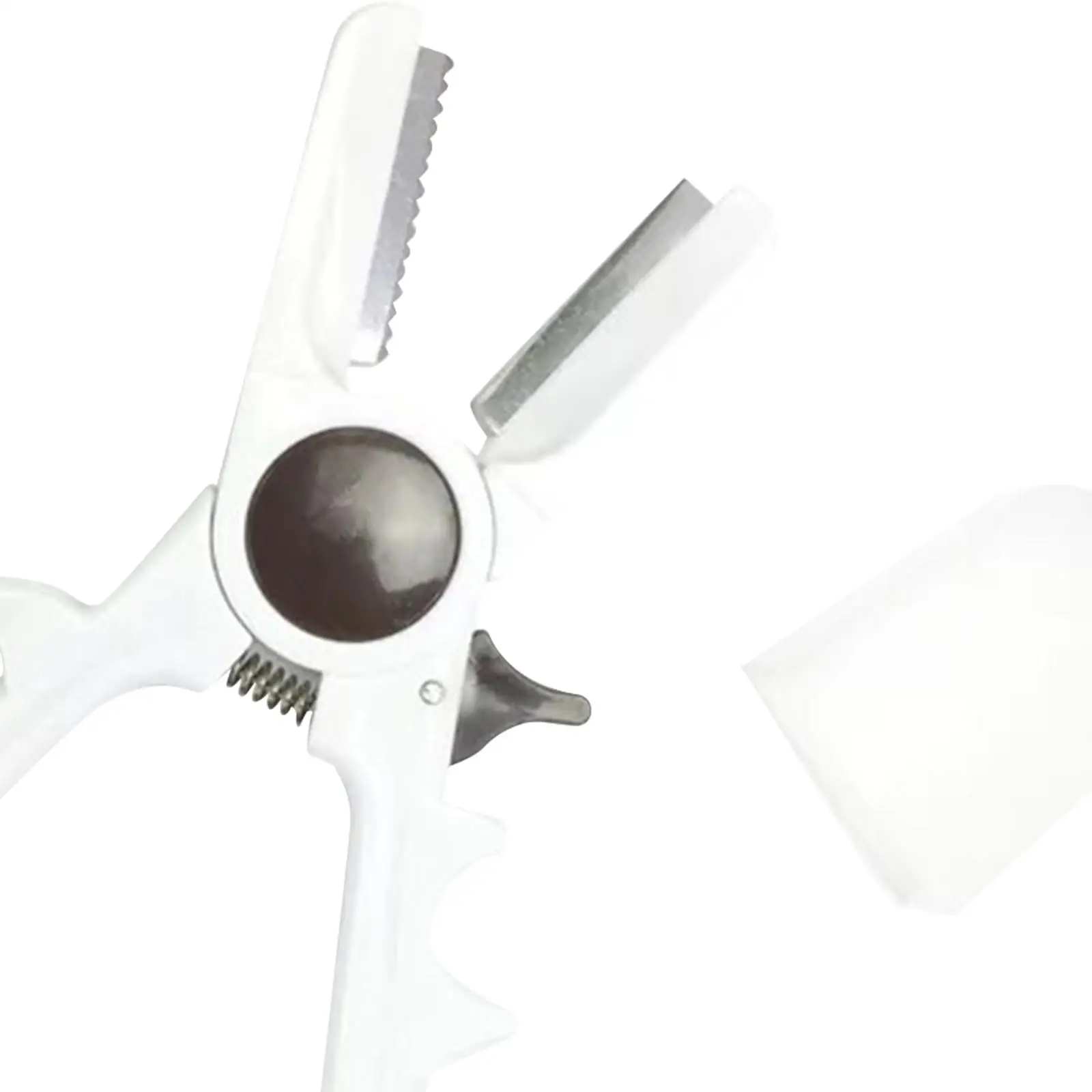 Manual Chestnuts Cracker Tool Stainless Steel Serrated Blade Kitchen Nut Opener for Walnut Almond Dried Fruit Portable
