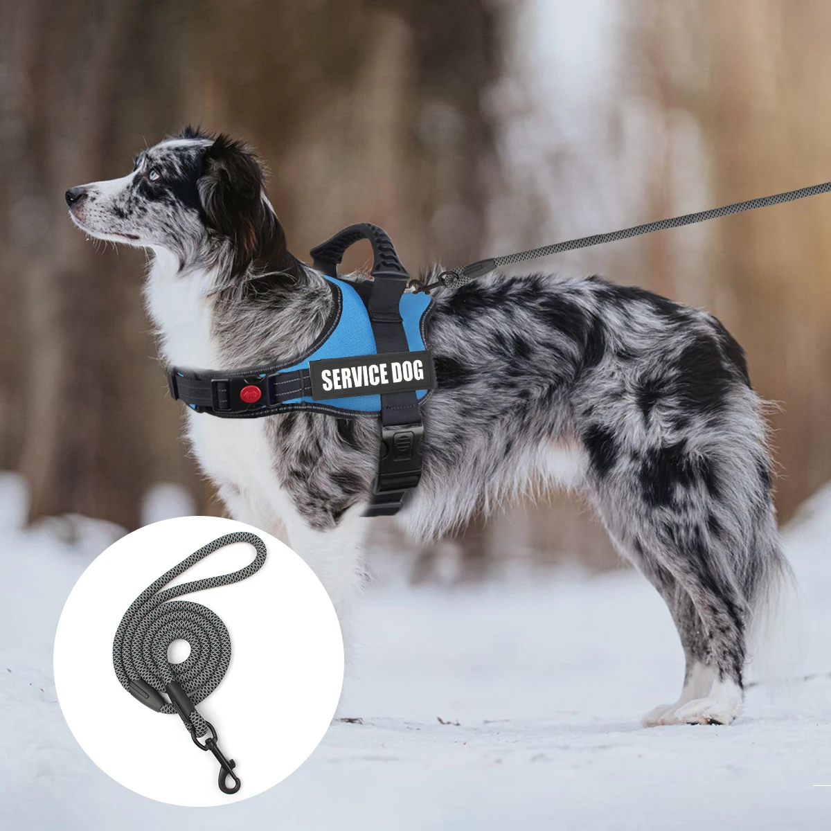 Pet Dog Boutique Lead Leashes For Small Medium And Large Dog Simple Grey Mesh Pattern Nylon Rope Suitable Dog Collar And Harness