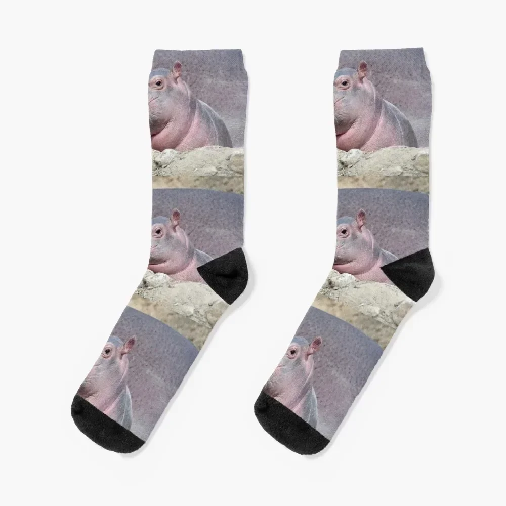 Baby Hippo Fritz at the Cincinnati Zoo and Botanical Garden Socks Stockings custom colored anti-slip Boy Socks Women's