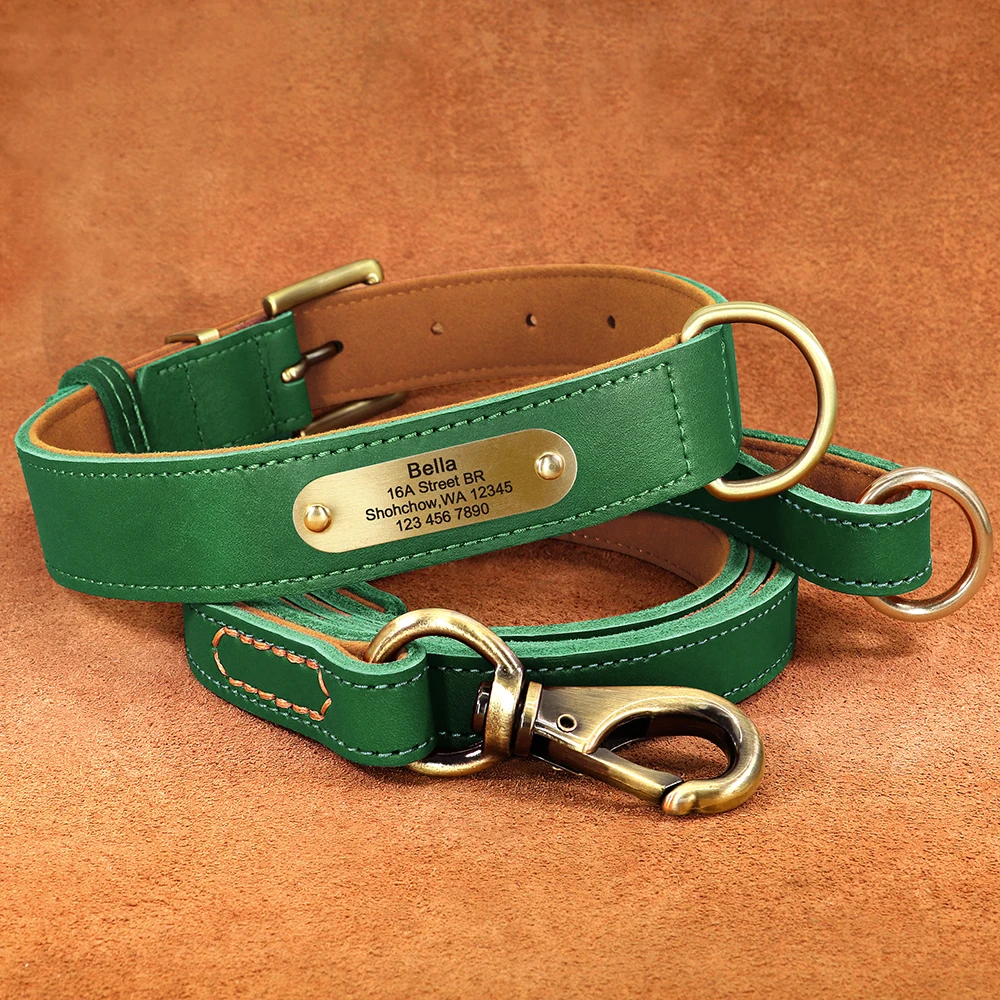 Personalisierte Hundehalsband-Leine aus echtem Leder, langlebige Hundehalsbänder, Gehbleine, Seil, frei mit Gravur für kleine, mittelgroße und große Hunde – Detail 33