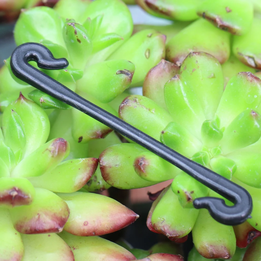 100pcs Garden Plants Vines Fixed Clips for Kiwi Grape Cucumber Tomato Tied Buckles Lashing Hook Stems Fastener Gadgets Grafting