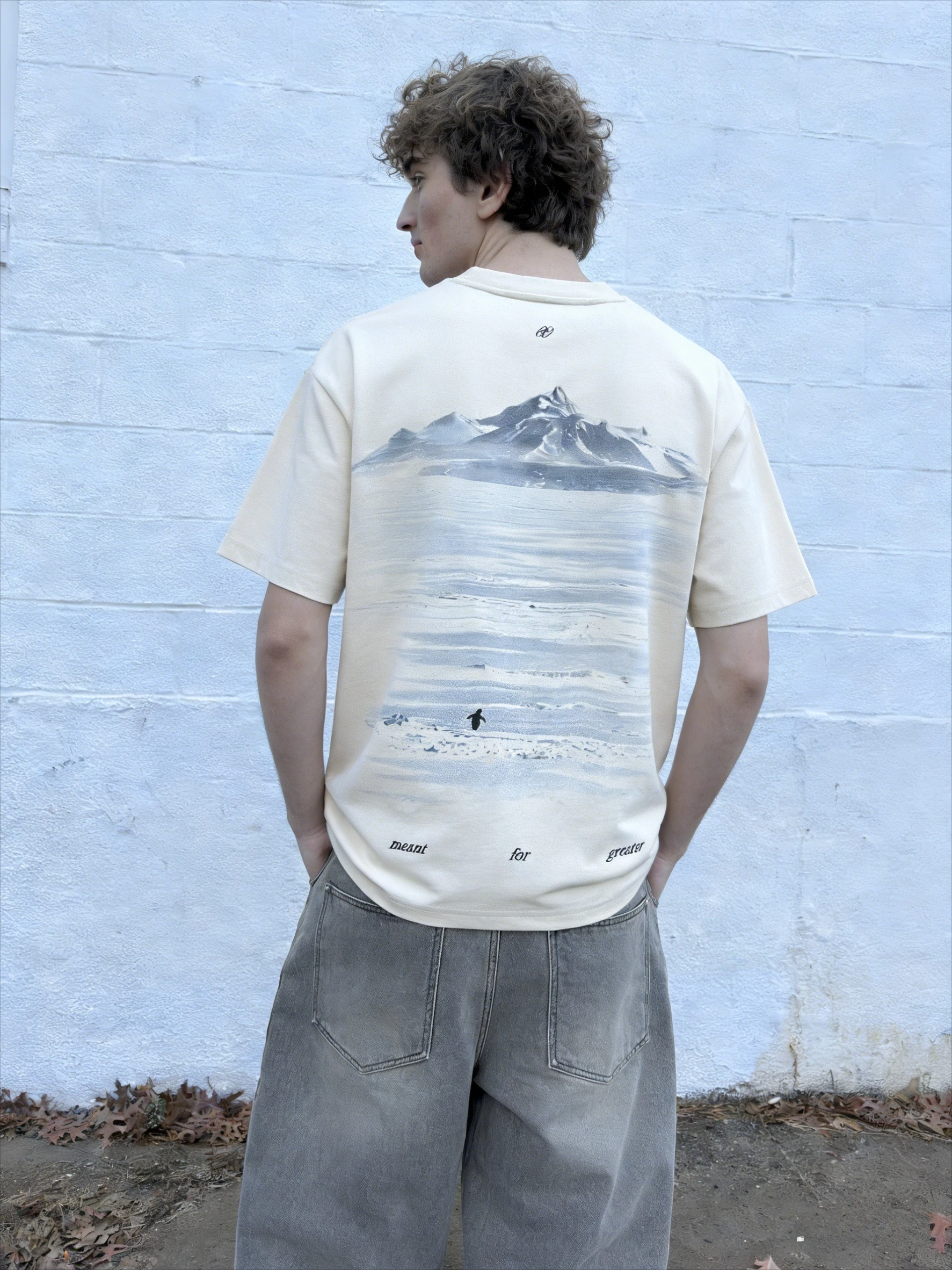 

Мужская футболка Y2K с принтом «Снежные горы и пингвины», круглый вырез, уличный стиль, оверсайз, хип-хоп, повседневная свободная футболка