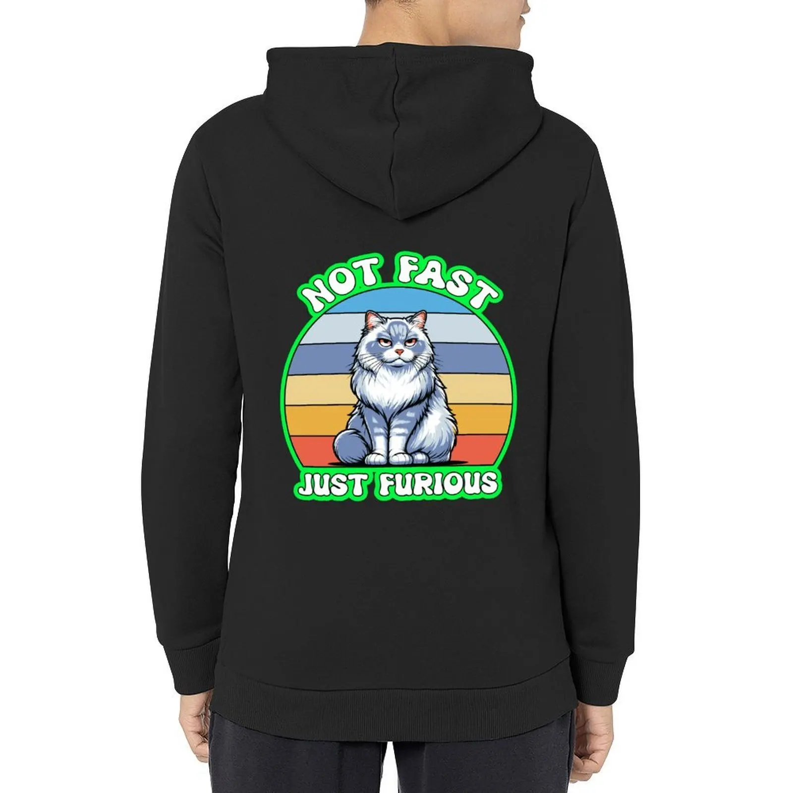 

Not Fast Just Furious Cat Hoodie men wear aesthetic clothing men's coat hooded shirt new hoodies and sweatshirts