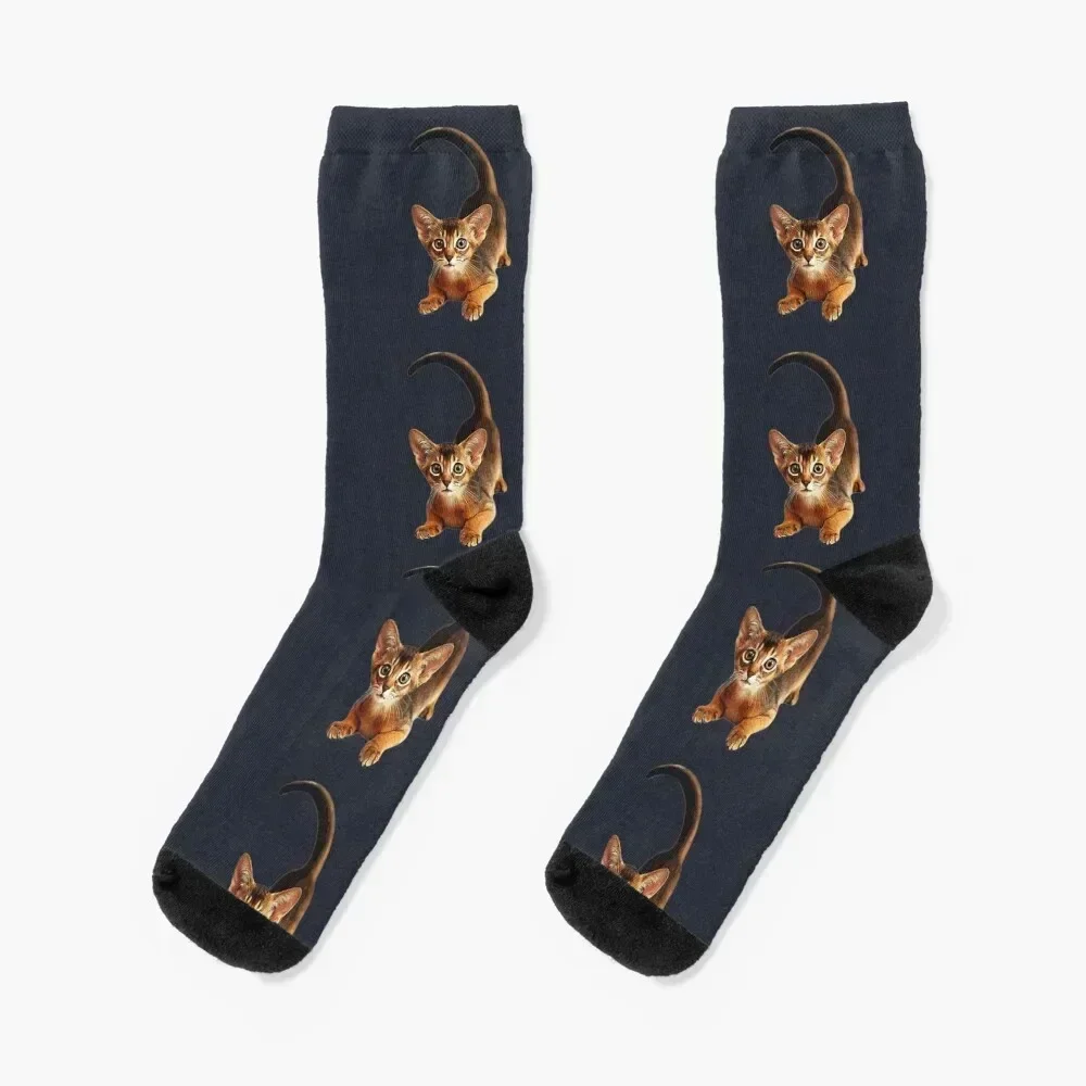 

Abyssinian Cat Socks football Soccer compression cotton Socks Female Men's