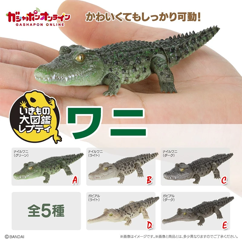 

Оригинальная Bandai Gashapon, большая биологическая карта, крокодил, крокодил, нилотикус, имитация подвижной фигурки, модель по индивидуальному заказу