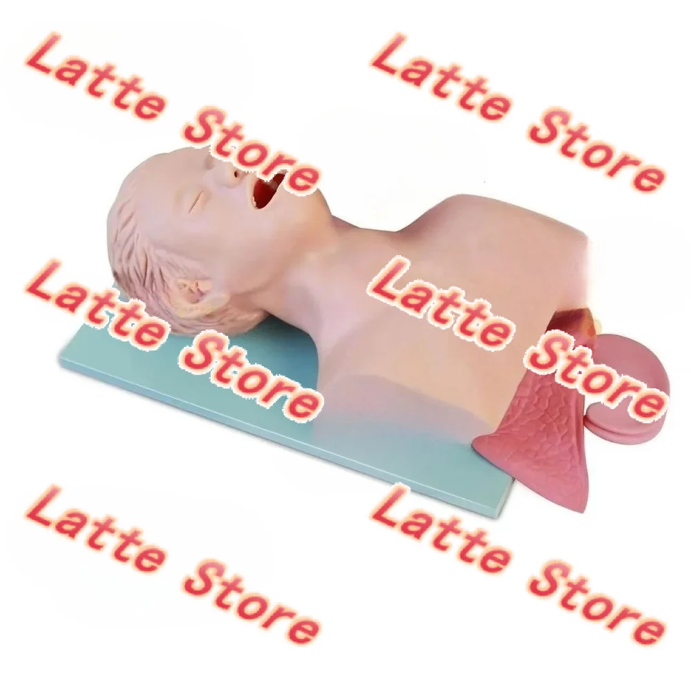 Medical Teaching Airway Management Training Model For Oral Nasal Tracheal Intubation Practise Educational Training Equipment