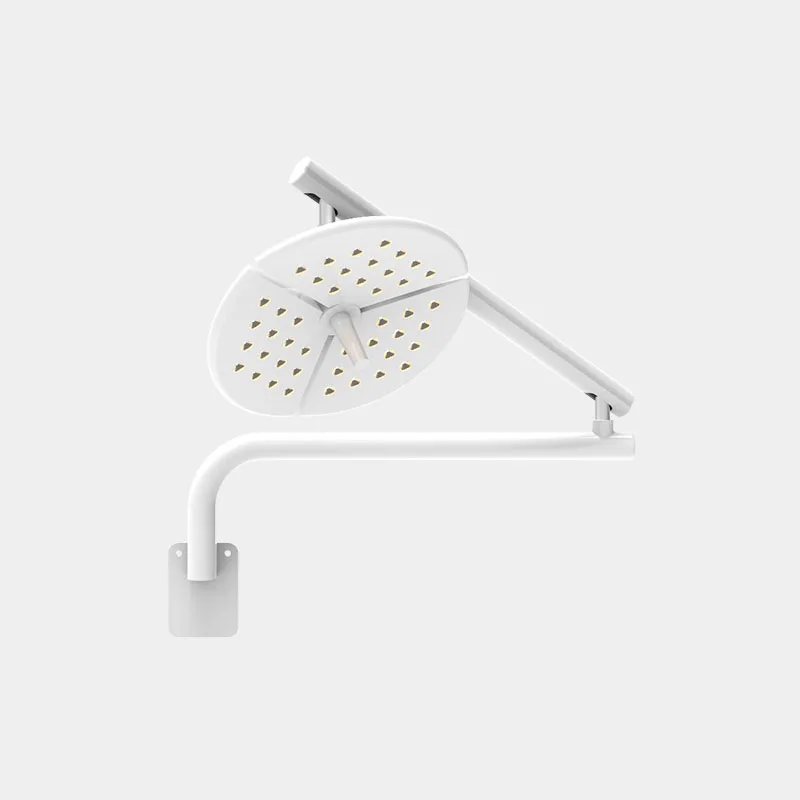 60W LED Cold Light Wall-Mounted Dental Surgical Shadowless Lamp Tattoo Pet Surgery Light