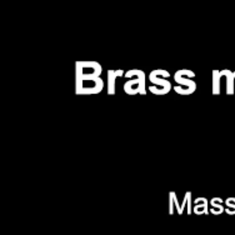 

Инструмент для массажа носа Гуаша, щетка-руридиан, латунная бусина, ручная расческа, антистатическая для лица, носа, глаз, релаксация, пятно, меридианы, акупунктурная точка