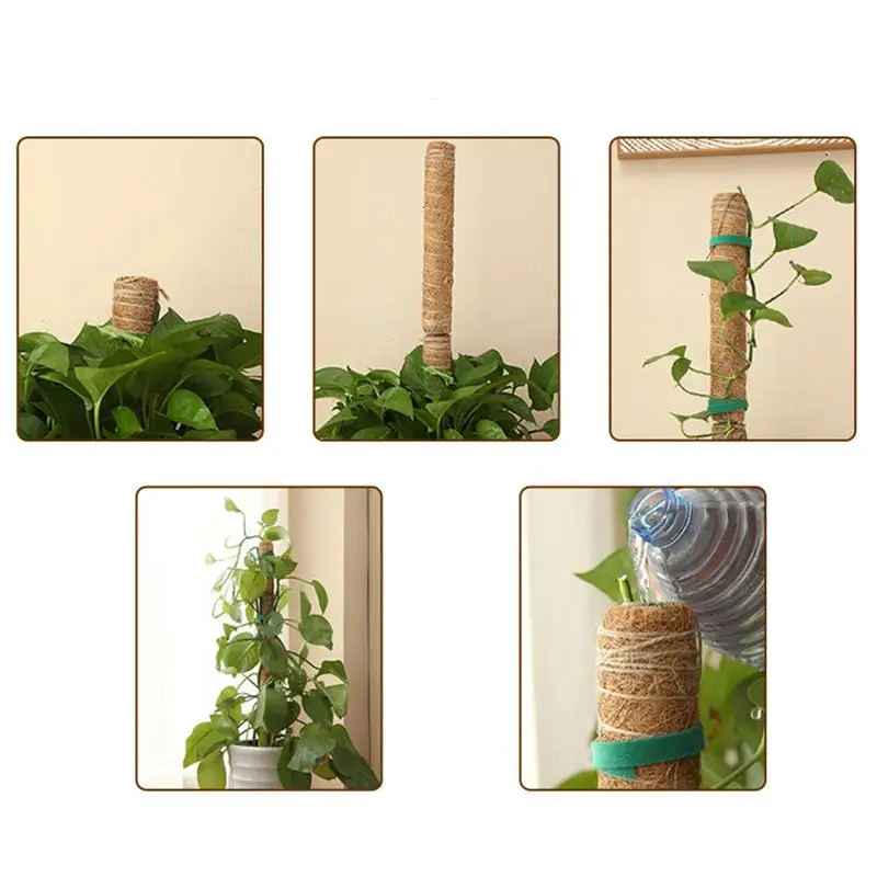 جوز الهند النخيل عصا جوز الهند الطوطم نبات تسلق القطب Monstera حصة هيكل قوي إكسسوارات الحديقة تعريشة داخلية ل Pothos
