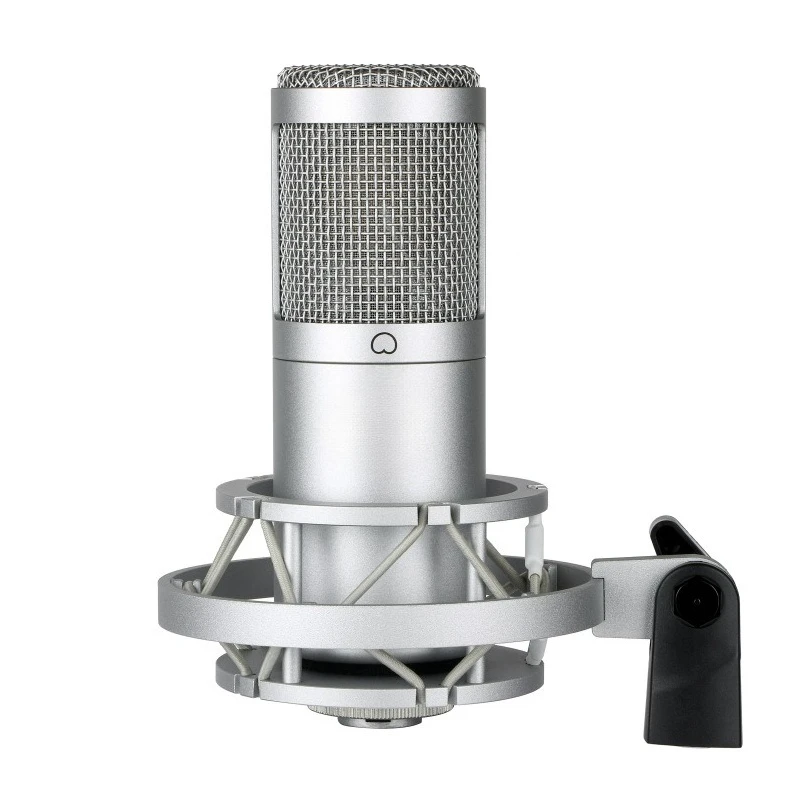 

SL-10 Large Diaphragm Condenser Microphone 48v Heart Shaped Live Audiobook Recording External Sound Card Set