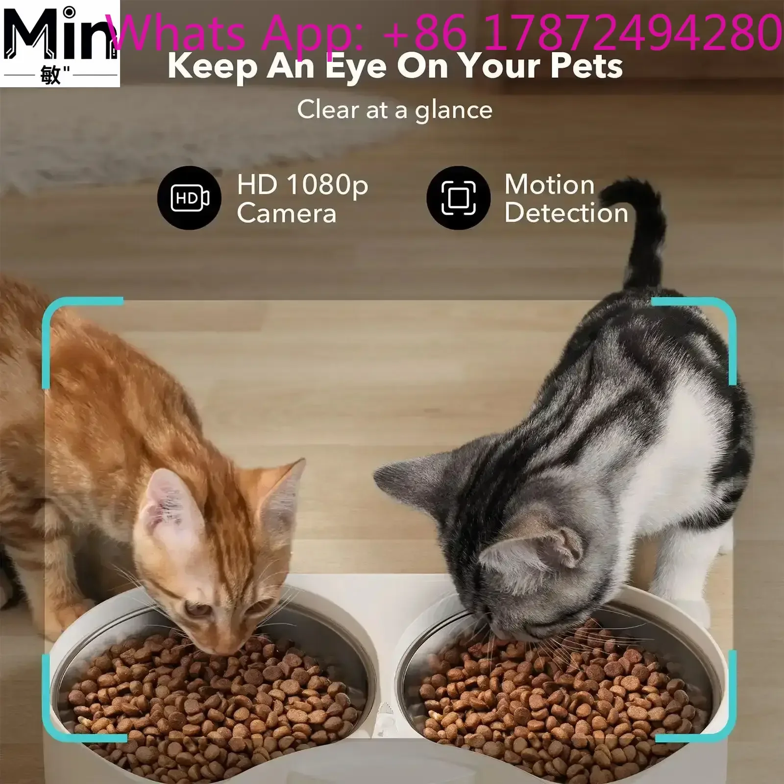 Automatic Charging Plastic Granary Feeder for Small Animal Bowls