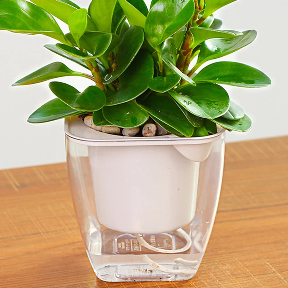 

1 Bundle Automatic Self Watering Rope Cotton Cord for Plant Root Absorbent Hydroponic Supplies Self Watering Rope Bulk