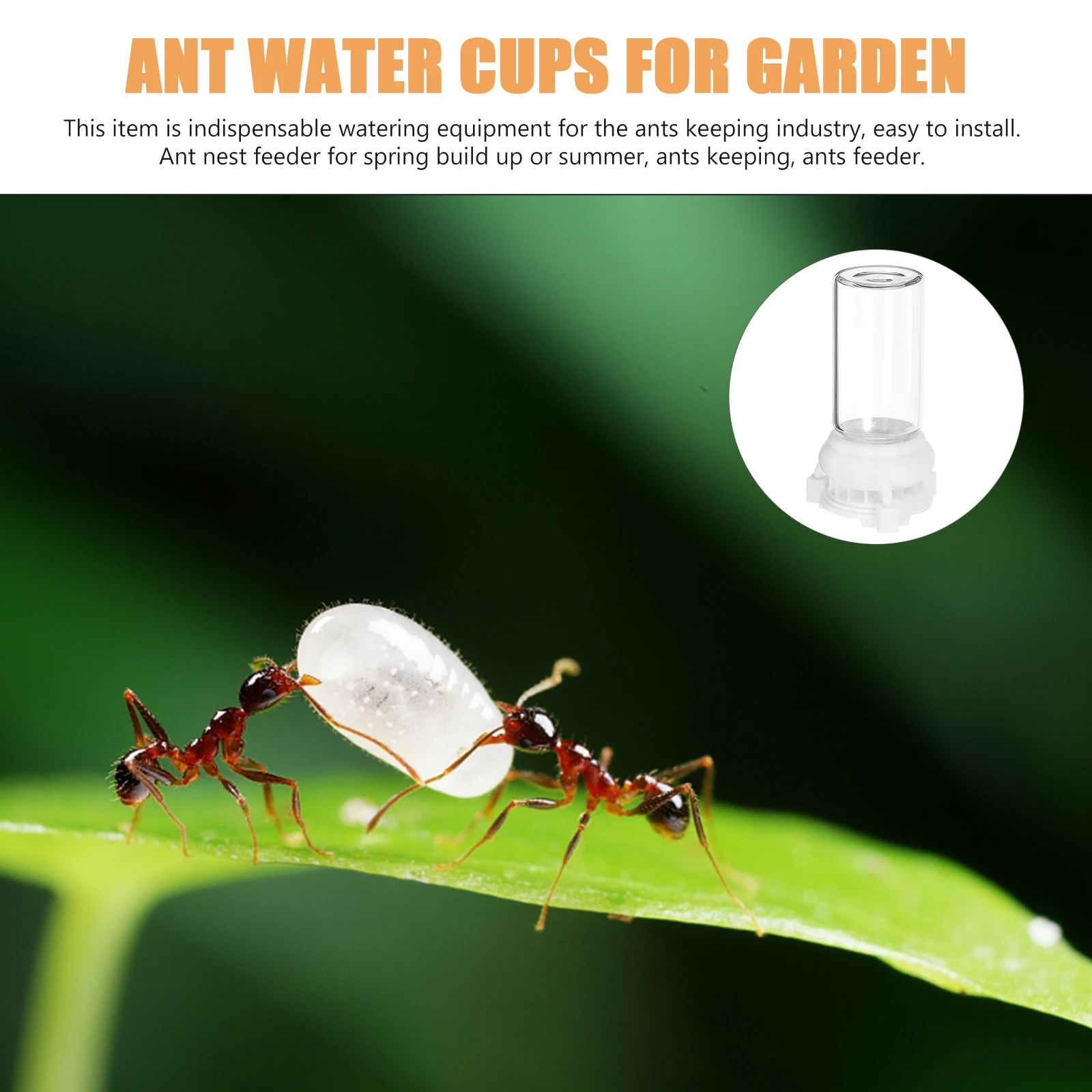 

2pcs Durable Glass Water Ant Feeder Container Stable Easy Ant Nest Water Cup Use Cups Garden Nest Pet Supplies