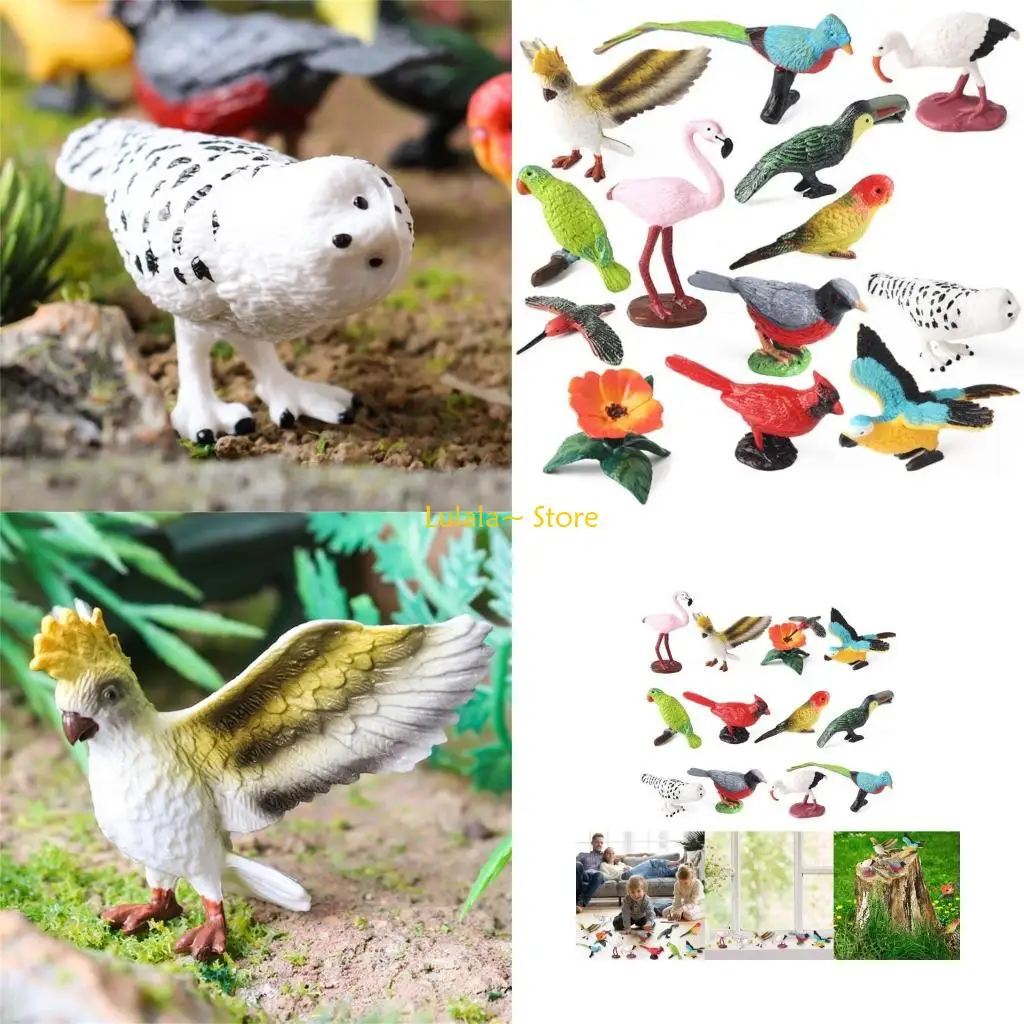 Y4QA Simulation Bir… - image