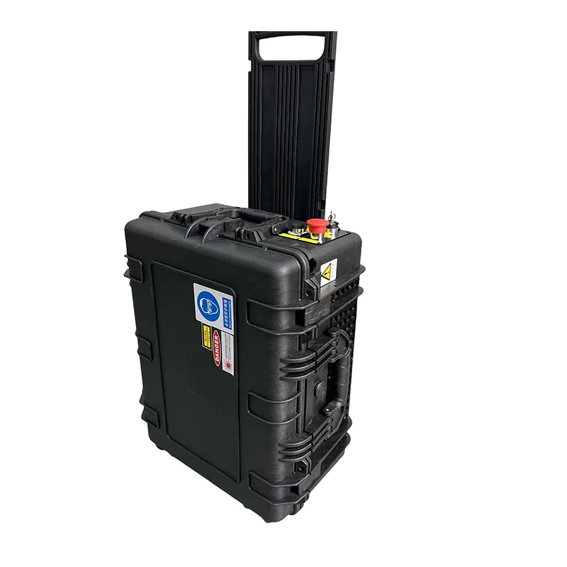 

Hot Sale Pulse Laser Cleaning Machine Trolley Case Portable Laser Cleaner for Removing Car Paint Mould Wood Paint