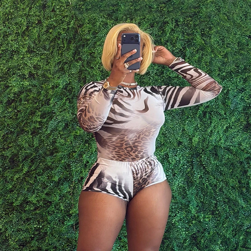 Women 2 Two‑Piece Outfit Mesh Long Sleeve Top + High Waist Shorts Mixed Leopard Zebra Animal Print Sheer Night Out Clubwear Set