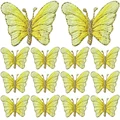 PE8025CT