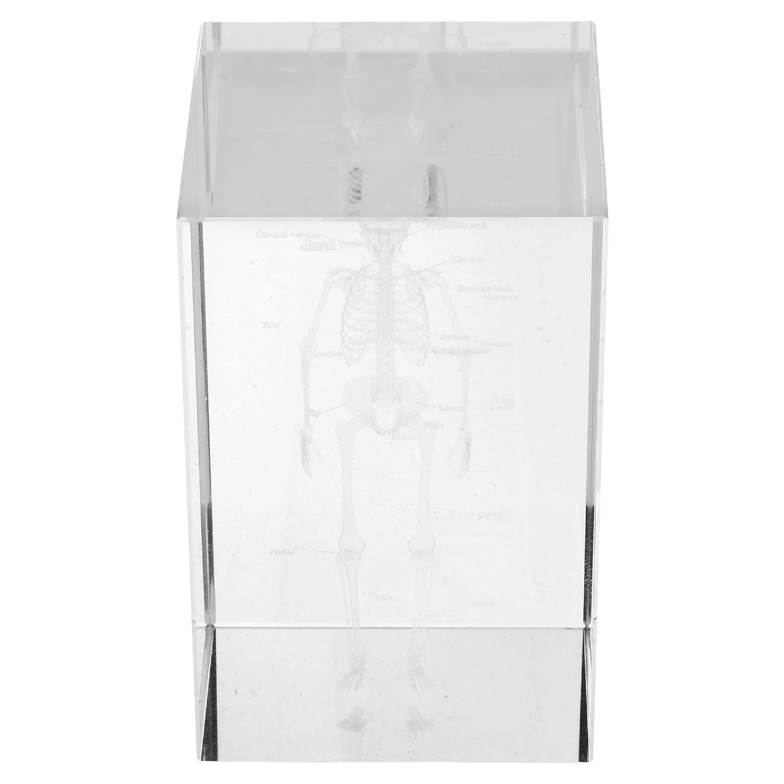 

Transparent Crystal Cube 3D Human Anatomical Sculpture Glass Paperweight Medical Decor Crystal Human Model