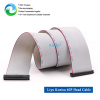 Konica 512 Head 40P Data Cable Connect Line for Liyu Inkjet Printer 40Pins Grey Cable 50CM
