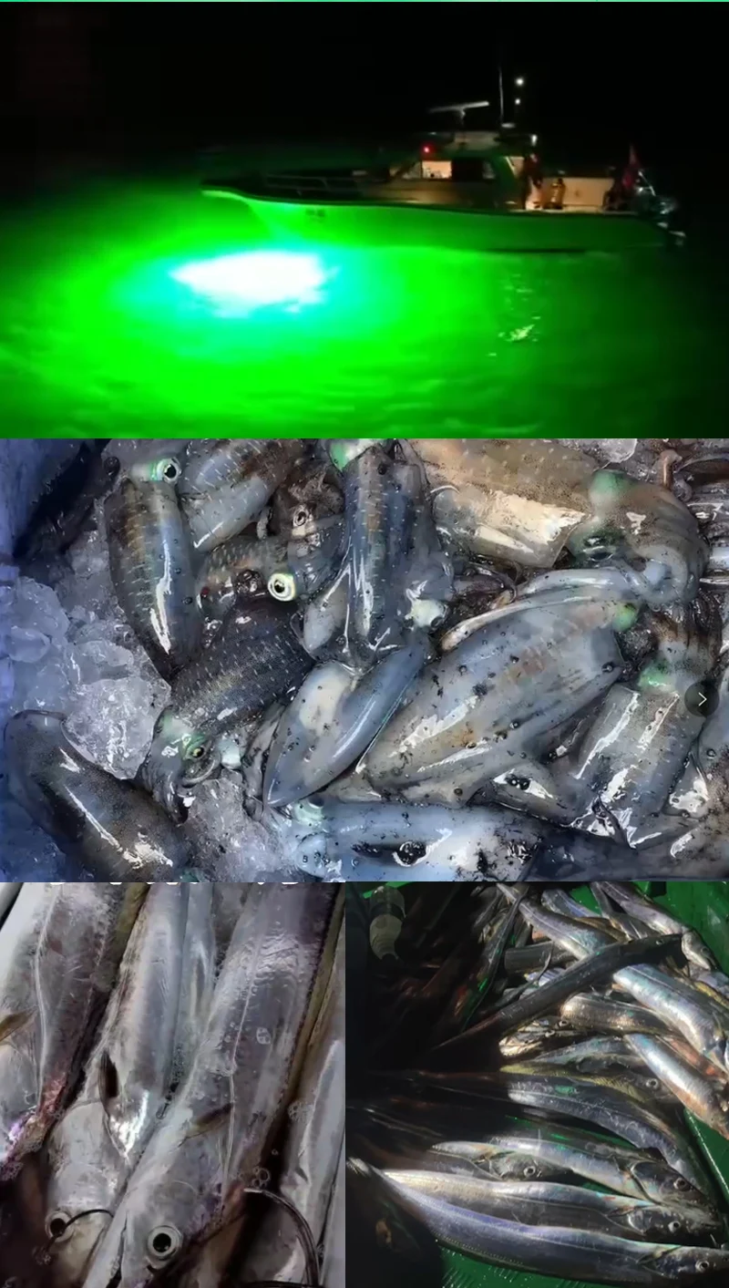 Made in China Unter Wasser DC12-24V 450w 850W Tintenfisch Angeln Lichter Für Marine