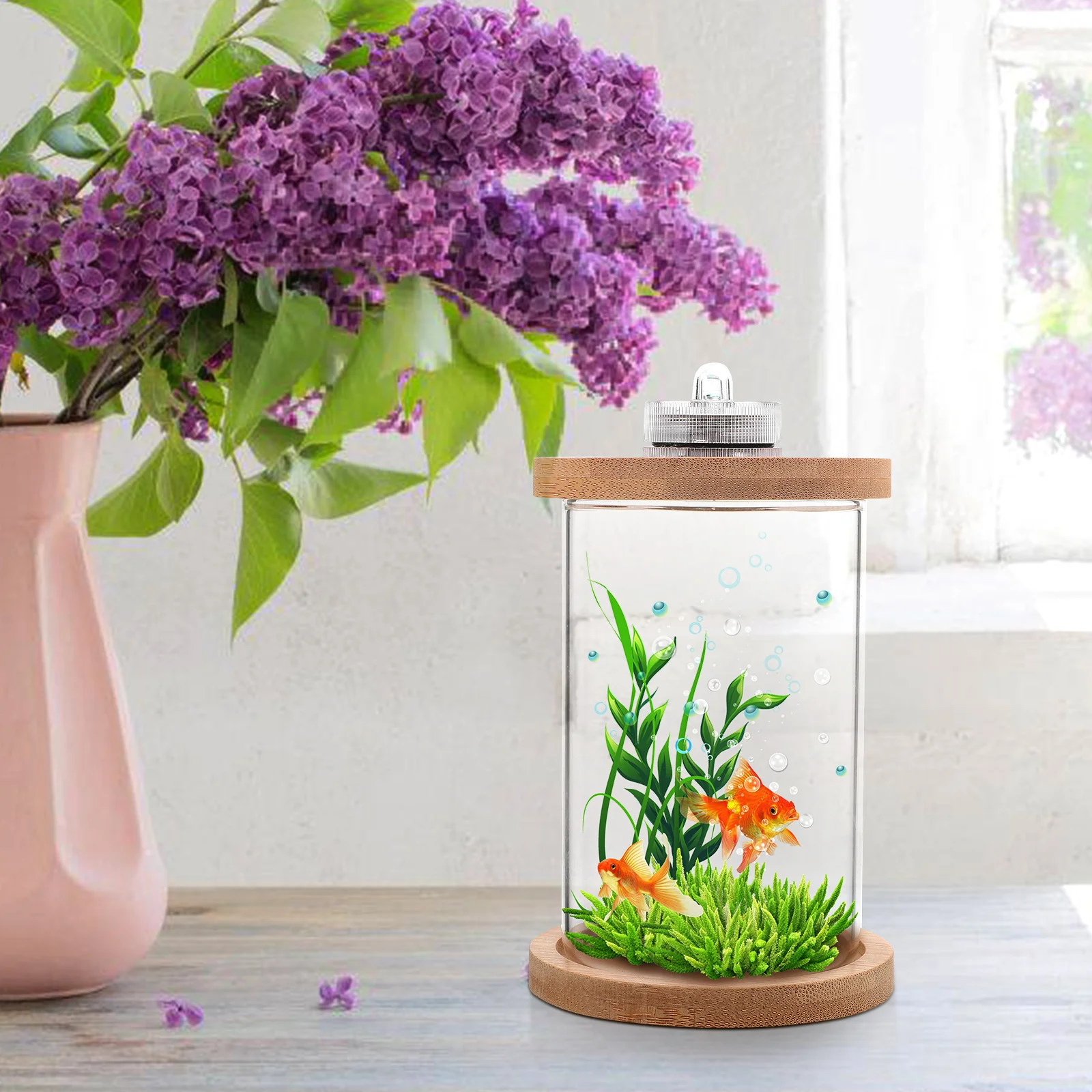 

Mini Fish Tank Small Desk Aquarium with LED Lighting Glass Terrarium
